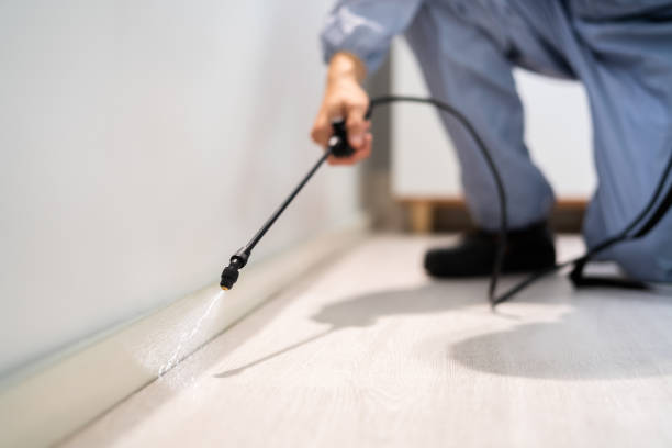 Bed Bug Pre-Treatment Preparation Assessment in Palmdale