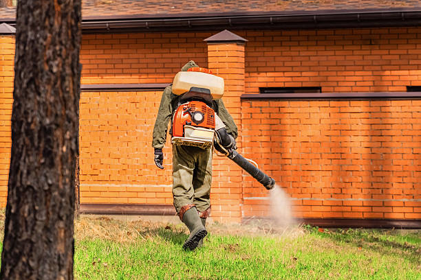 Bed Bug Clearance Verification and Documentation in Palmdale